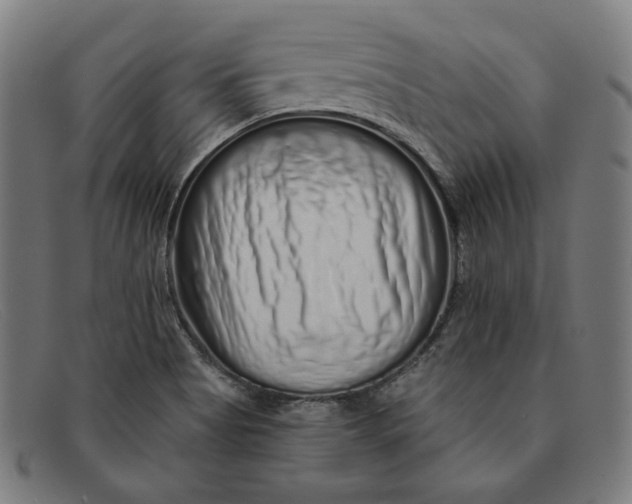 X0000091311513200708311346