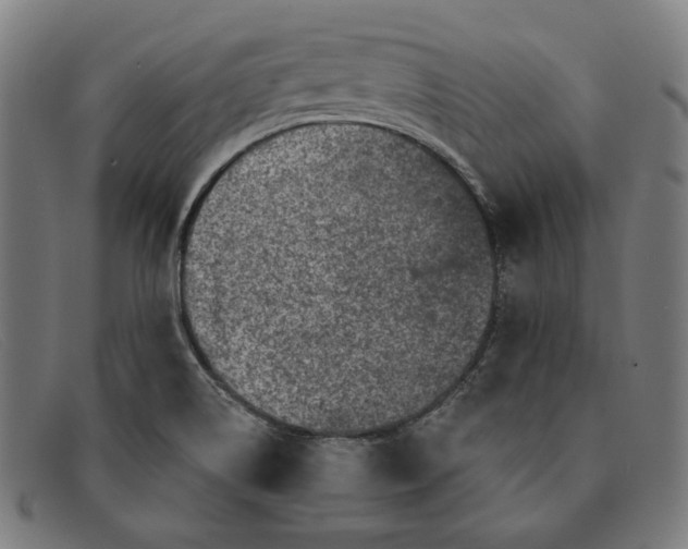 X0000091311514200708311346