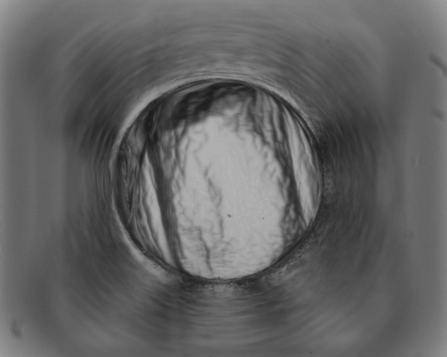 X0000091311515200708311346