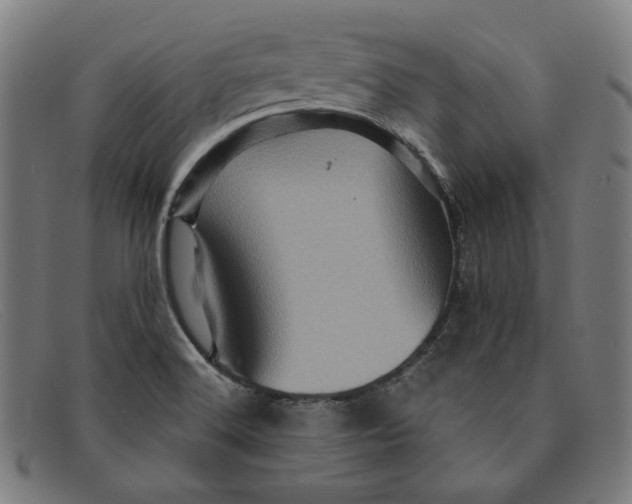 X0000091311516200708311346