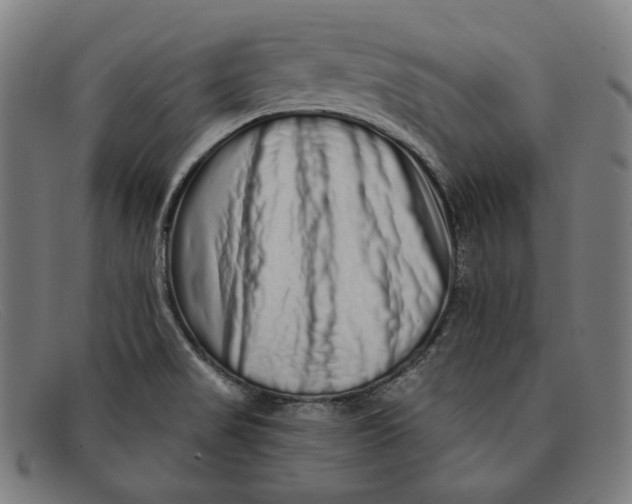 X0000091311517200708311346