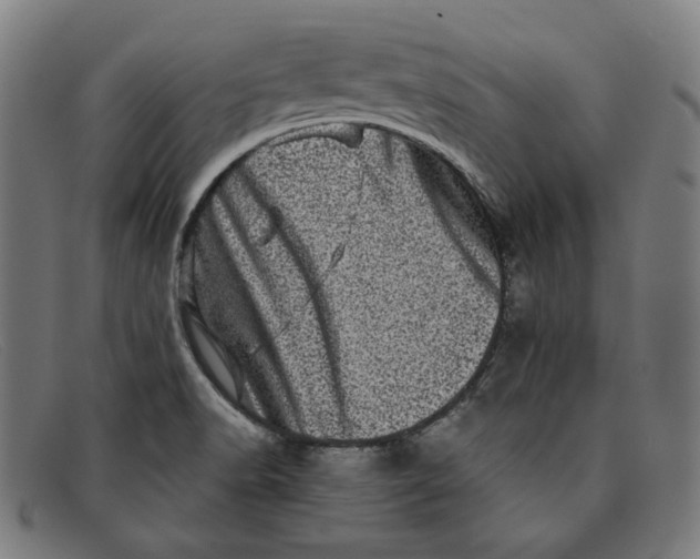 X0000091311518200708311346