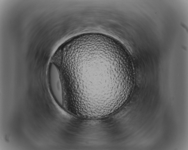 X0000091311519200708311346