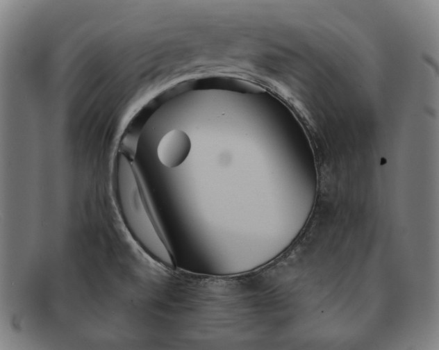 X0000091311520200708311346