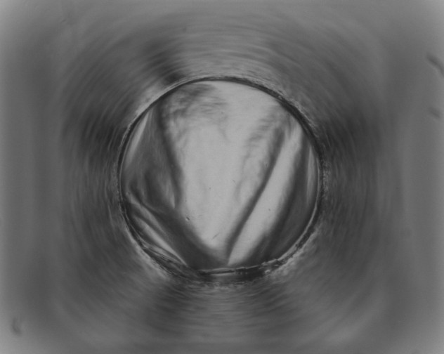 X0000091311521200708311346