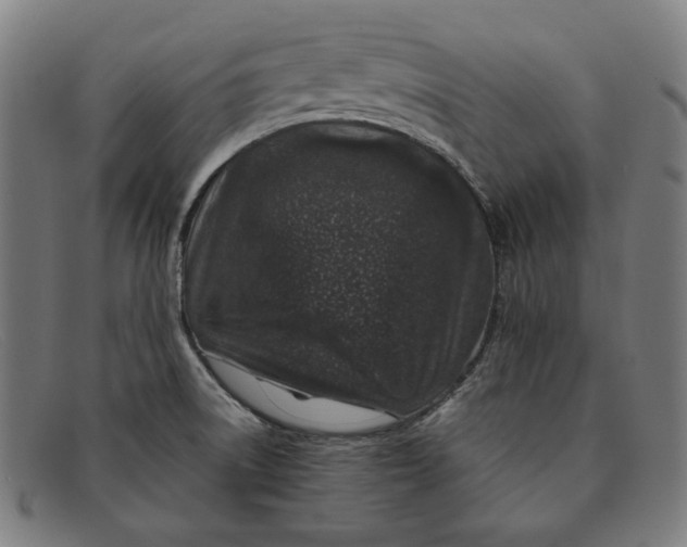 X0000091311522200708311346