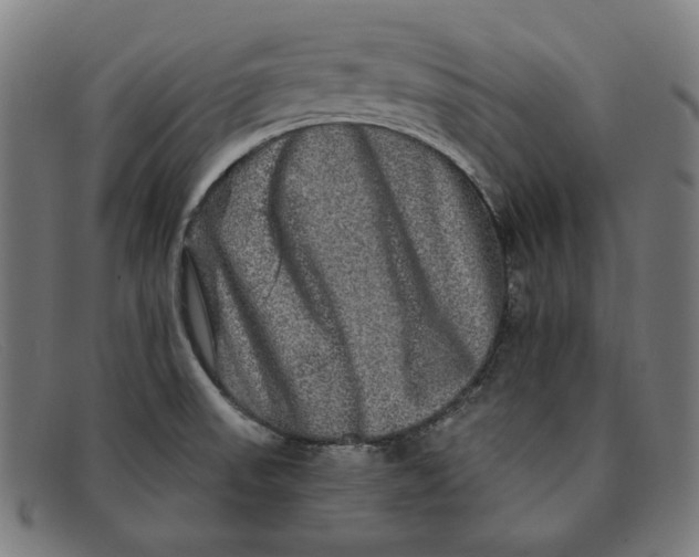 X0000091311523200708311346