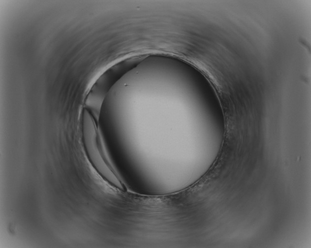 X0000091311524200708311346