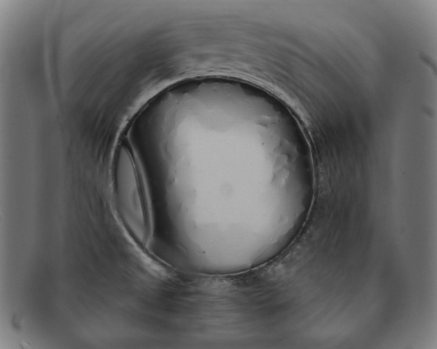 X0000091311525200708311346