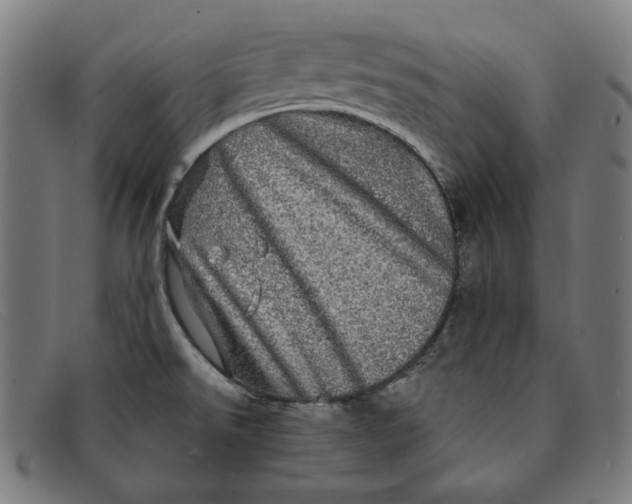 X0000091311526200708311346