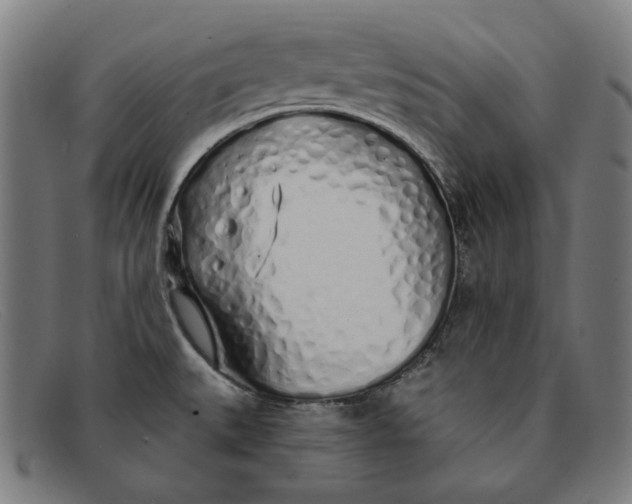 X0000091311527200708311346