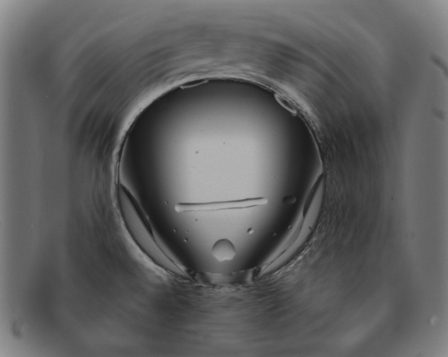 X0000091311528200708311346