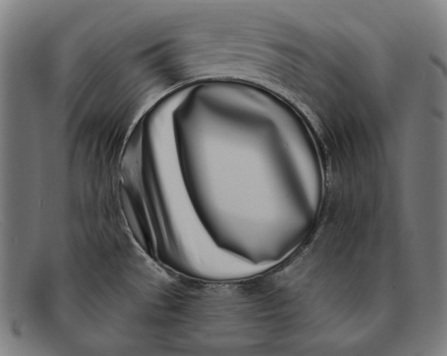 X0000091311529200708311347