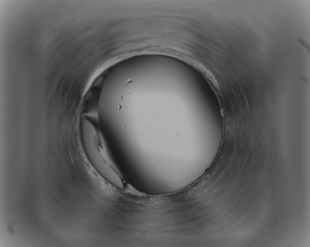 X0000091311530200708311347