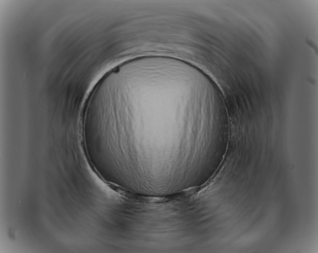 X0000091311531200708311347