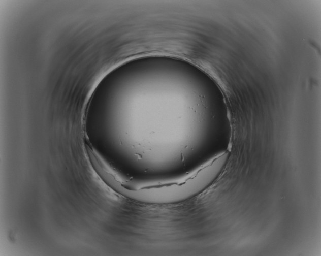 X0000091311532200708311347