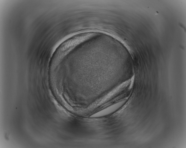 X0000091311534200708311347