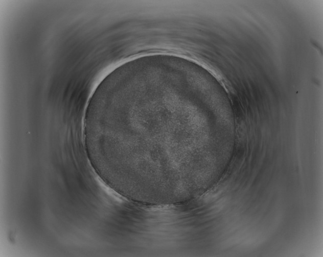 X0000091311535200708311347