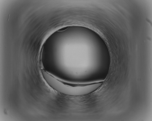 X0000091311536200708311347