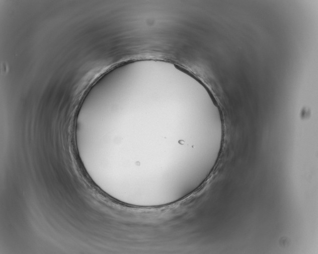 X0000091310001200709071124