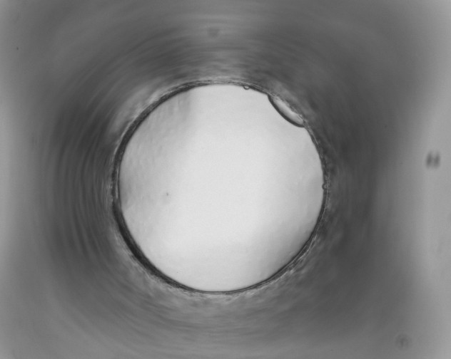 X0000091310002200709071124