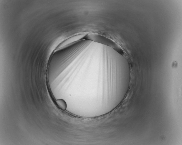 X0000091310003200709071124