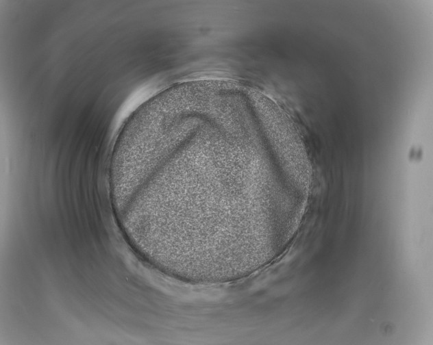 X0000091310004200709071124