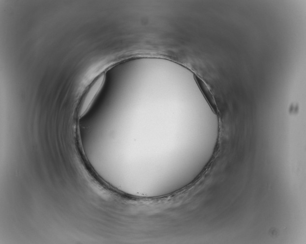 X0000091310005200709071124