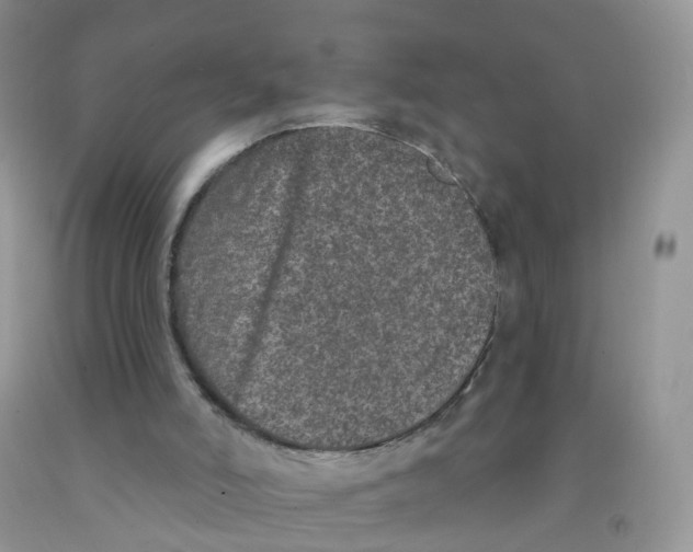 X0000091310006200709071124
