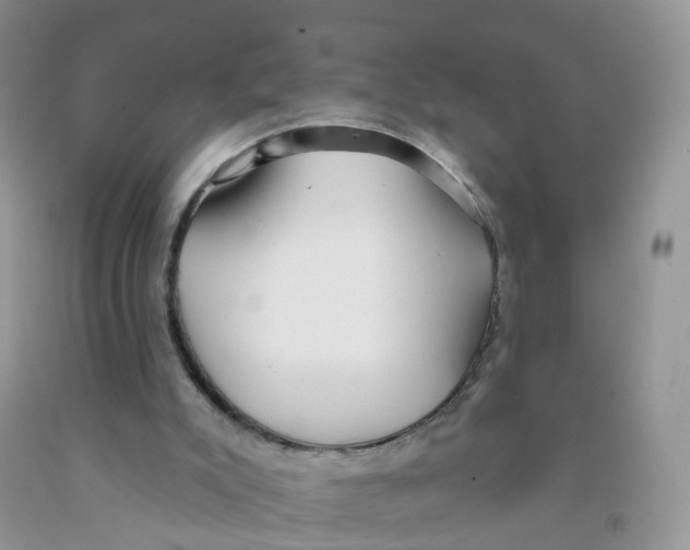 X0000091310007200709071124
