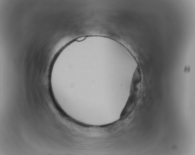 X0000091310008200709071124