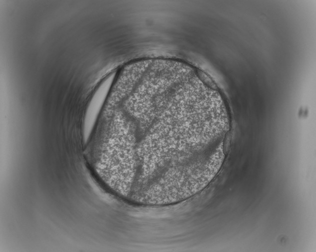 X0000091310009200709071124