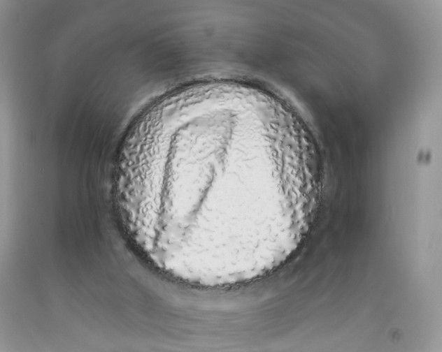 X0000091310010200709071124