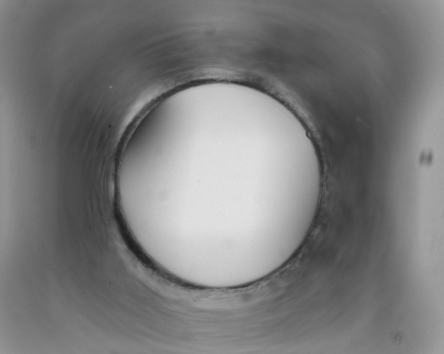 X0000091310011200709071124