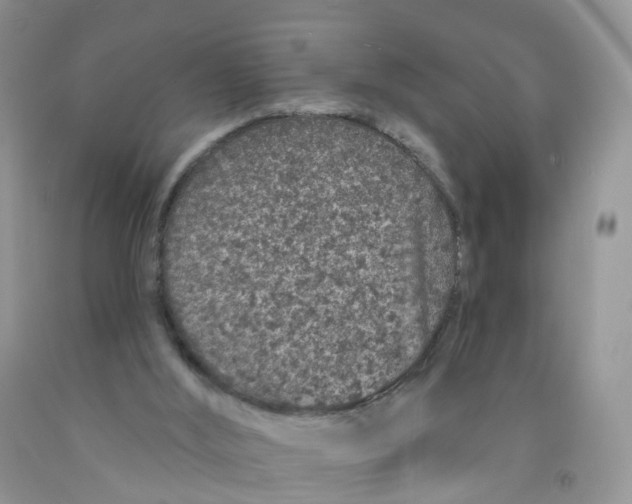 X0000091310012200709071124