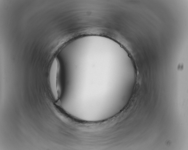 X0000091310013200709071124