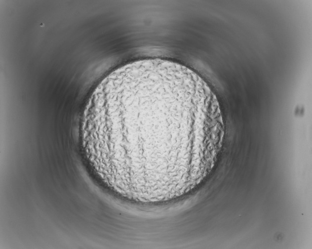 X0000091310014200709071124