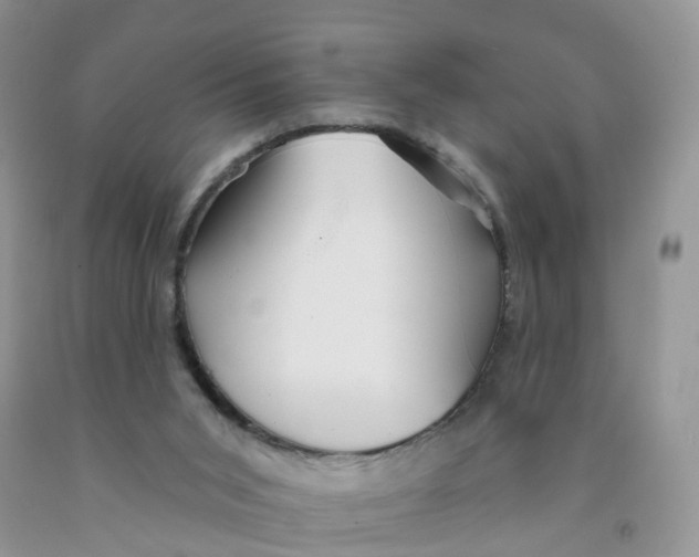 X0000091310015200709071124