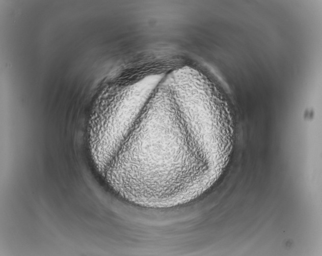 X0000091310018200709071124