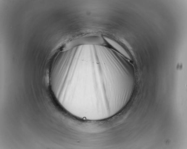 X0000091310020200709071123