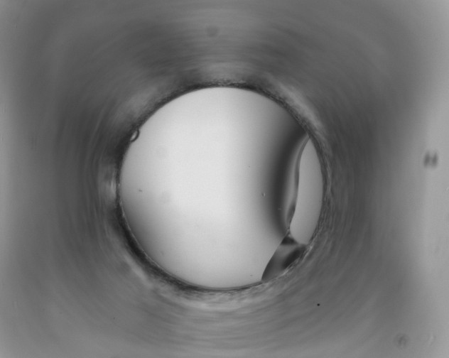 X0000091310021200709071123