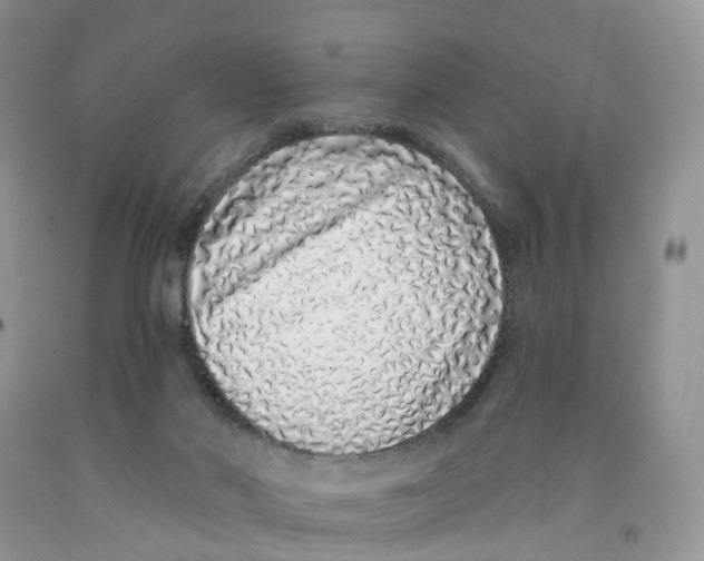 X0000091310022200709071123
