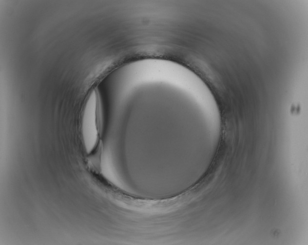 X0000091310023200709071123