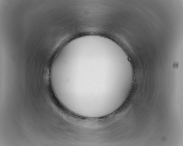 X0000091310024200709071123
