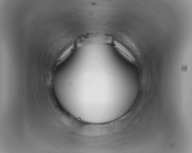 X0000091310025200709071123