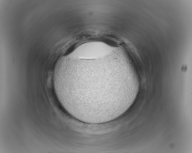 X0000091310026200709071123