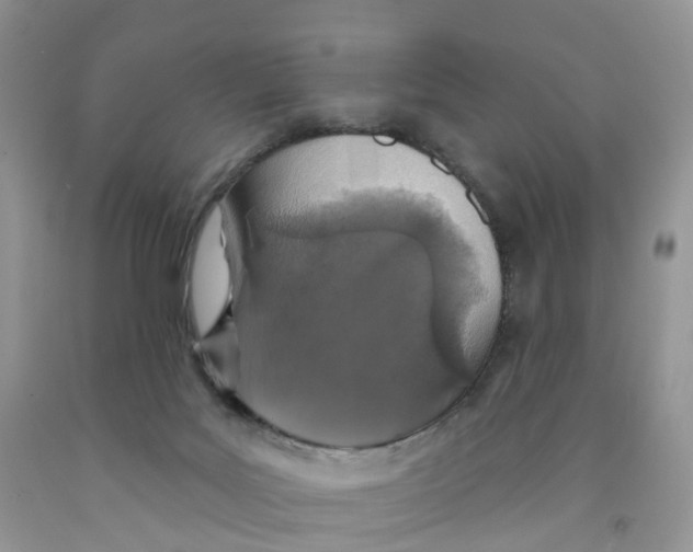 X0000091310027200709071123