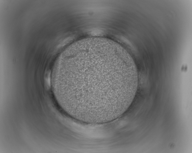 X0000091310028200709071123