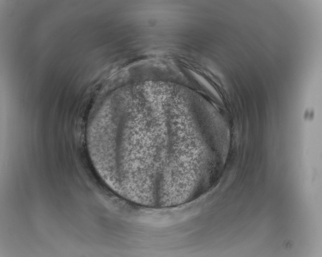 X0000091310029200709071123