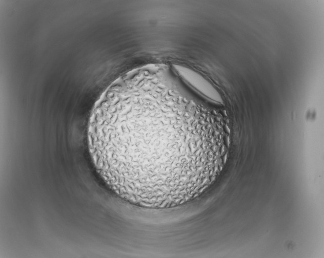 X0000091310030200709071123